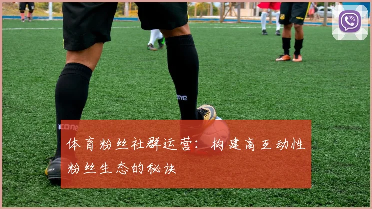 体育粉丝社群运营：构建高互动性粉丝生态的秘诀